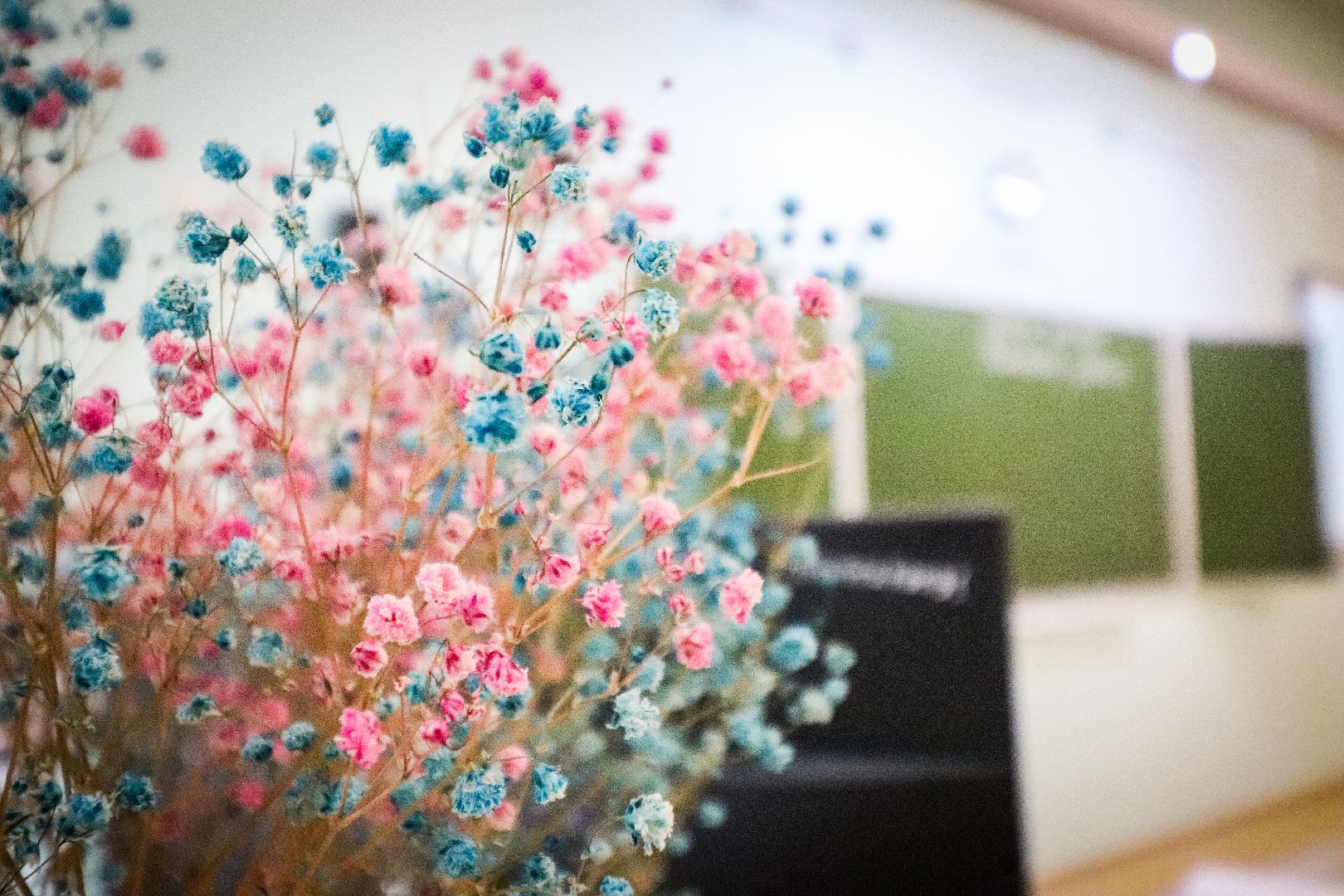 Клин, общество, образование, Подмосковье, новые звонки, Чайковский,