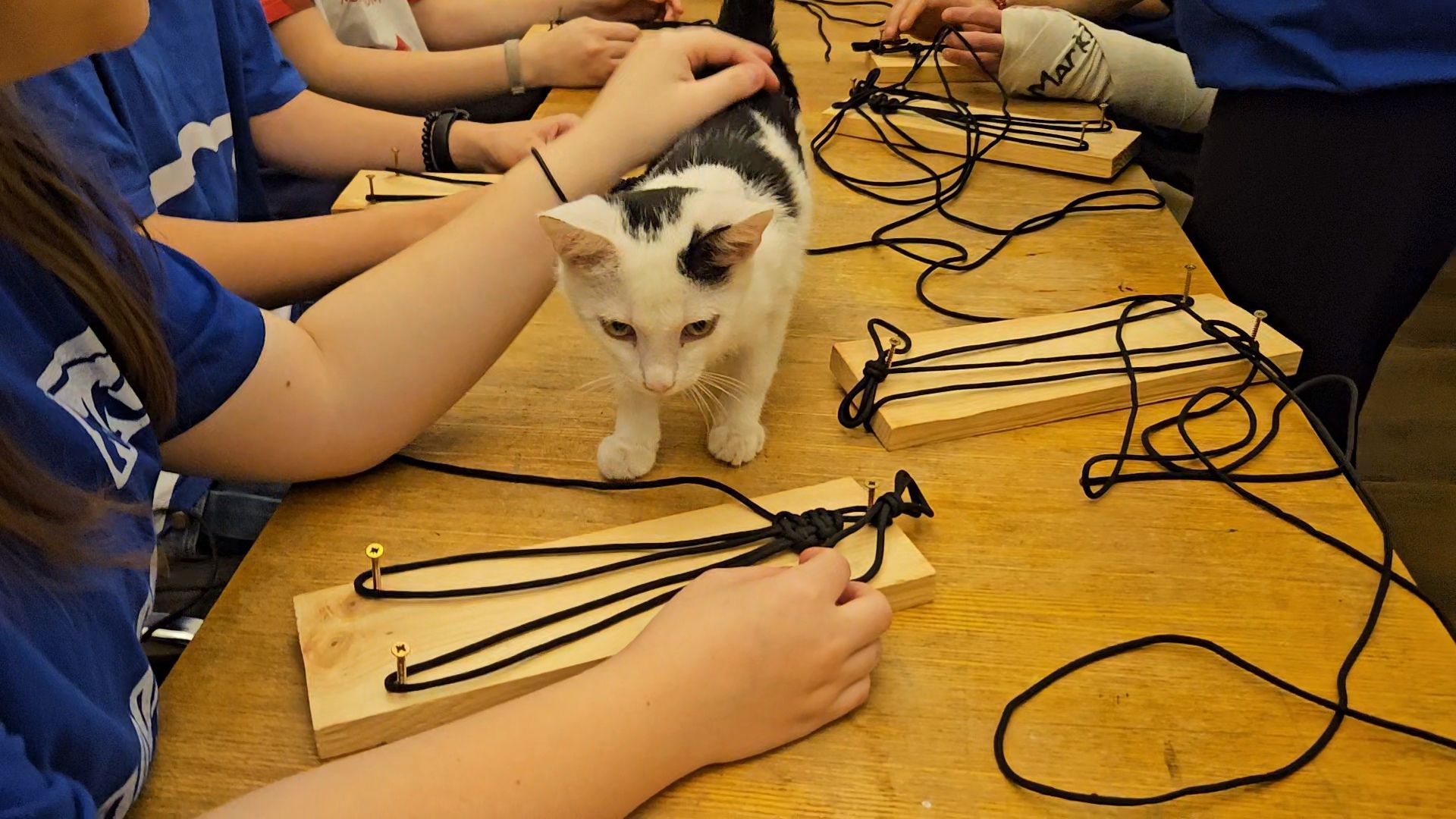 волонтры подмосковья, Мастер-класс, детская библиотека,