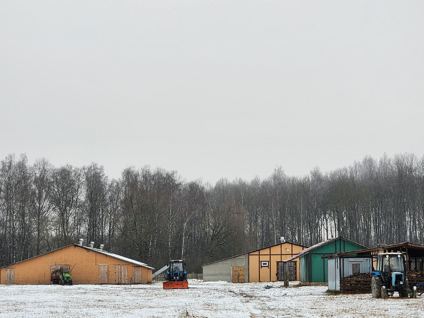 Чехов, деревня Булычево, ферма Черный лис, молочное производство, животноводство, сельское хозяйство, производство молочных продуктов, авторские сыры, традиционные сыры,импортозамещение,меры поддержки,