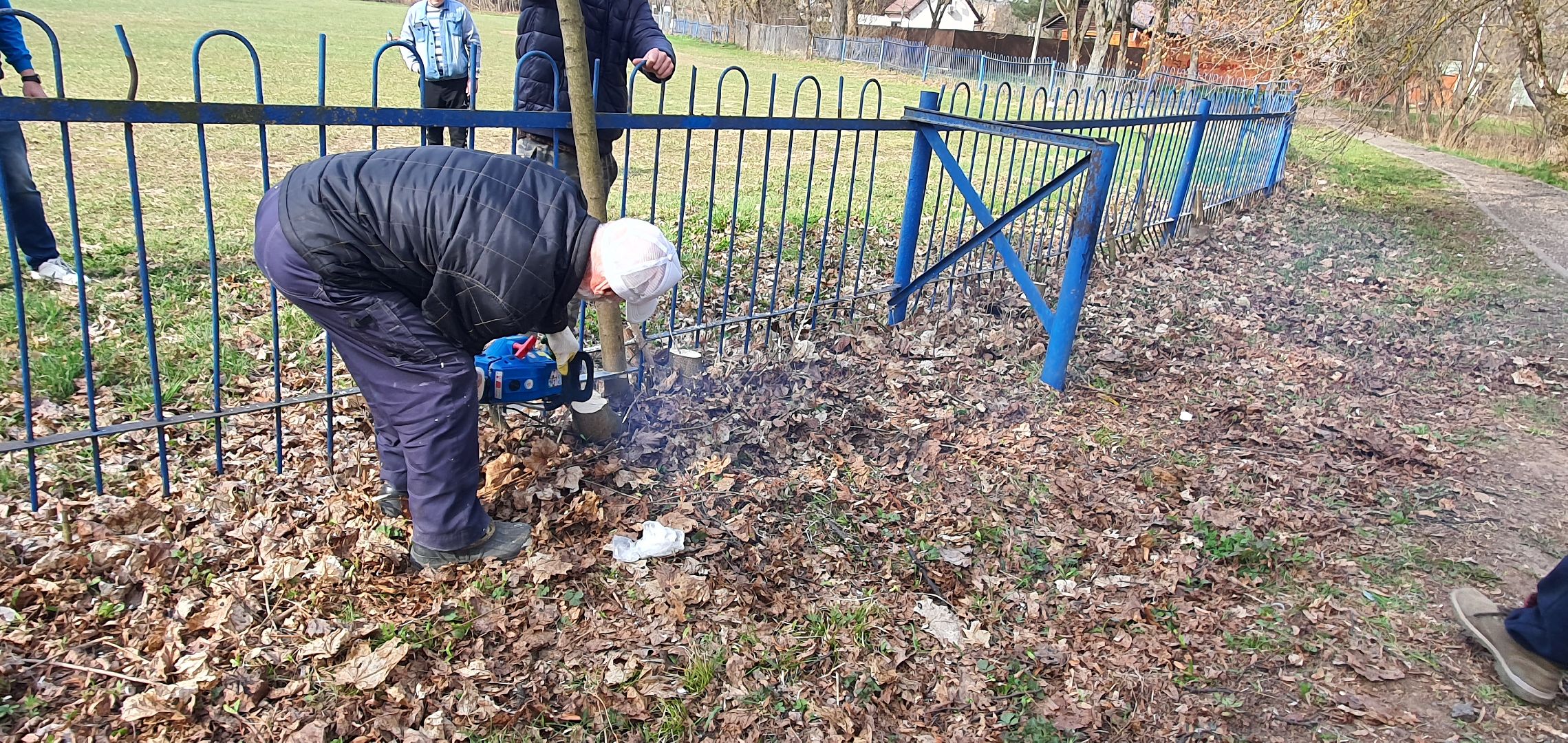сухостойные деревья, парки Домодедова, благоустройство