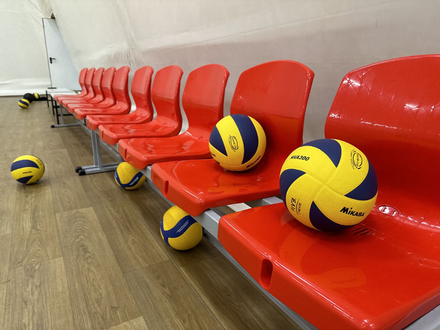 новый год, активное долголетие, письмо деду морозу, новогоднее настроение, почта деда мороза,