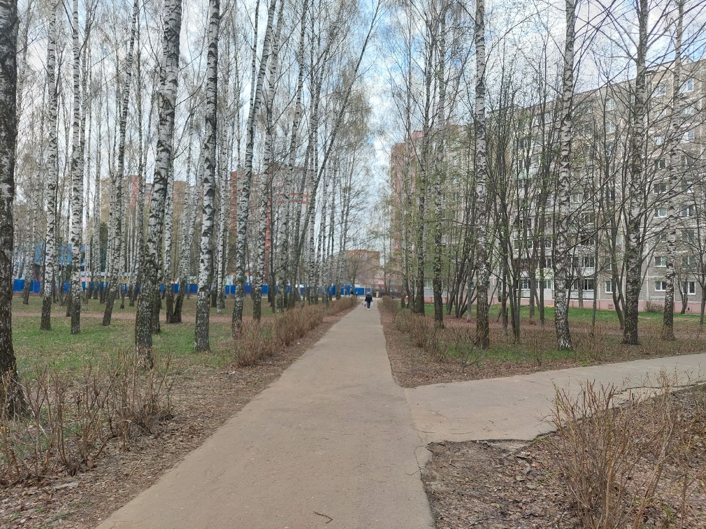 благоустройство, голосование, волонтеры