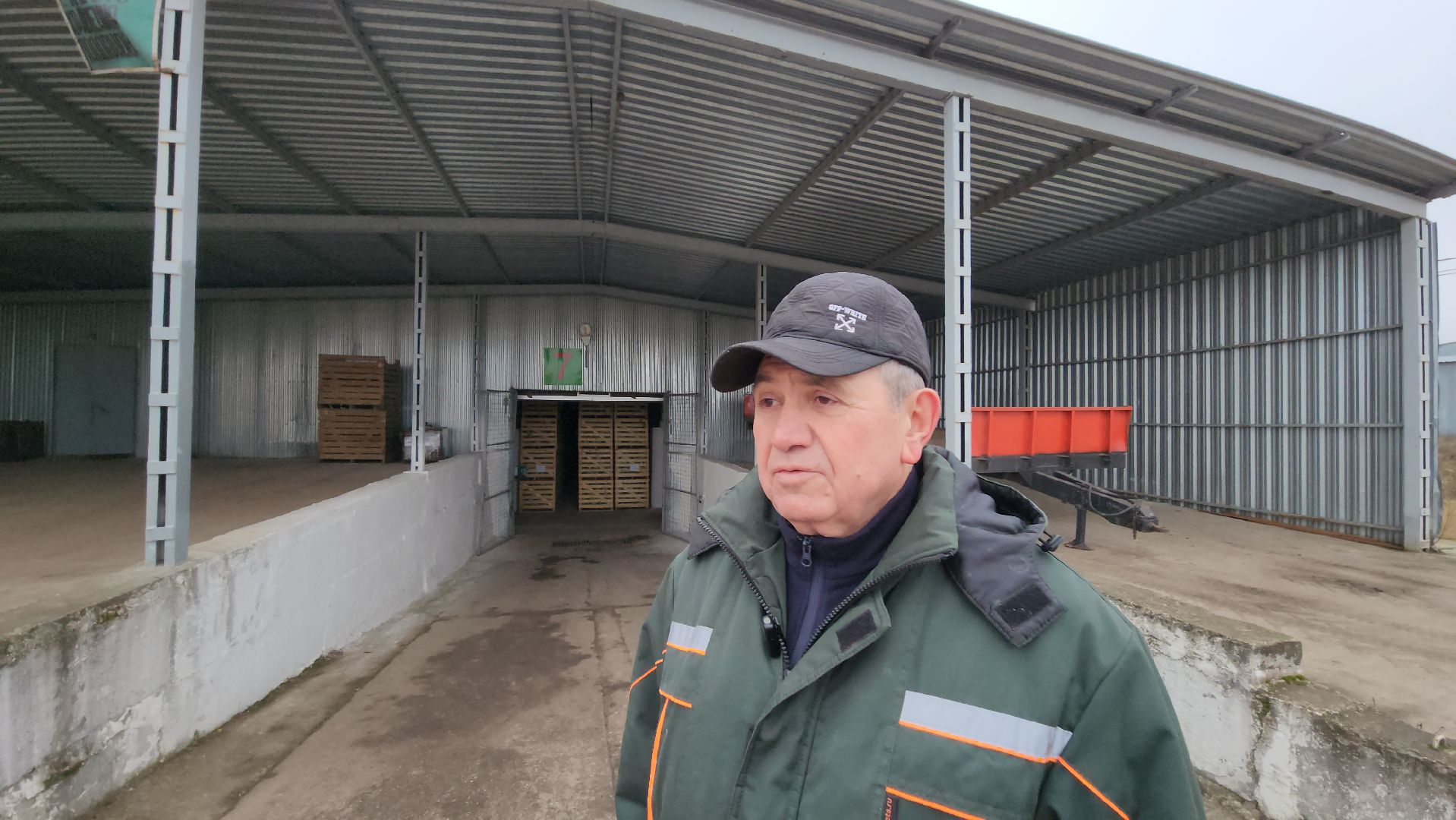 серпухов, сельское хозяйство, ао дашковка, свекла, овощная база, продовольствие, вертикалки,