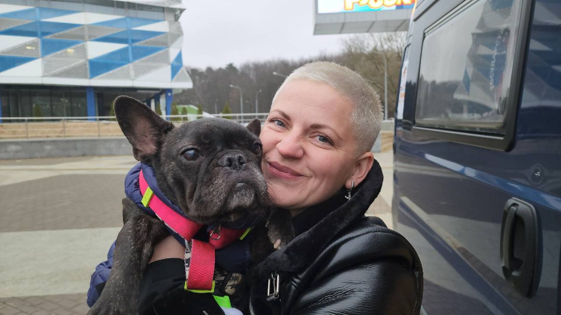 ногинск, приют для собак, собаки, ищем дом, муниципальный приют, вертикалки,