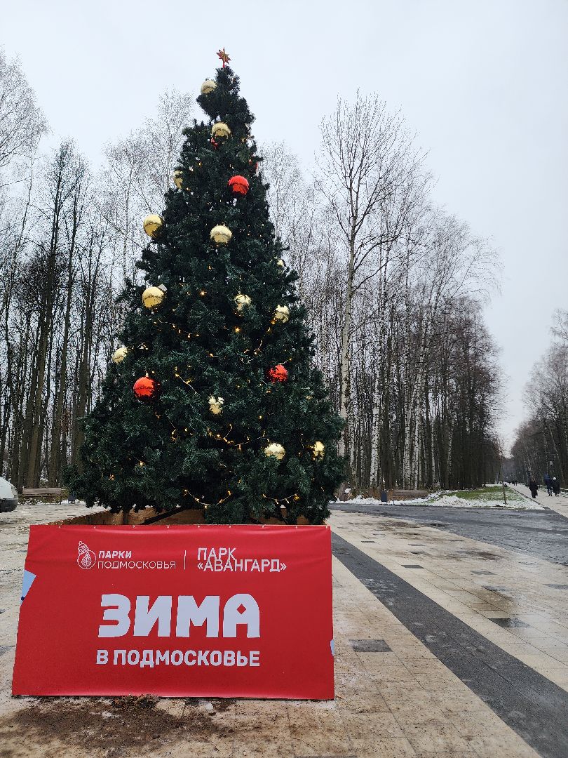 почта деда мороза, почта деду морозу, парк авангард, парки, парки подмосковья, дед мороз, дед мороз и снегурочка, электросталь,Вертикалка, Вертикальное видео,