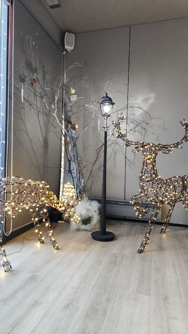 почта деда мороза, почта деду морозу, парк авангард, парки, парки подмосковья, дед мороз, дед мороз и снегурочка, электросталь,Вертикалка, Вертикальное видео,