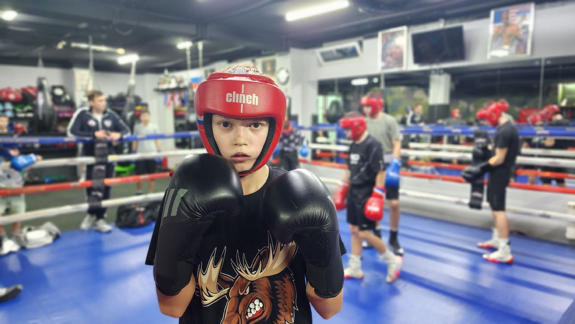 спорт, бокс, всероссийские соревнования, спорт подмосковья, Лосино-Петровский,