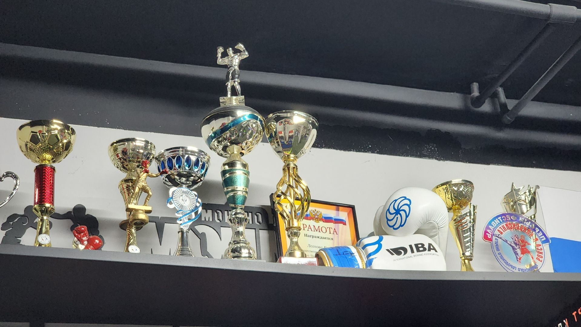 спорт, бокс, всероссийские соревнования, спорт подмосковья, Лосино-Петровский,