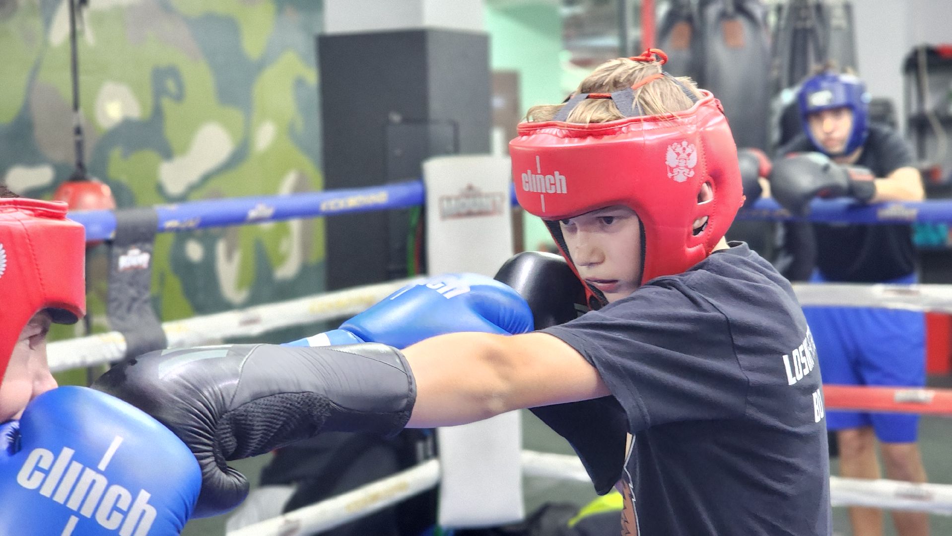 спорт, бокс, всероссийские соревнования, спорт подмосковья, Лосино-Петровский,