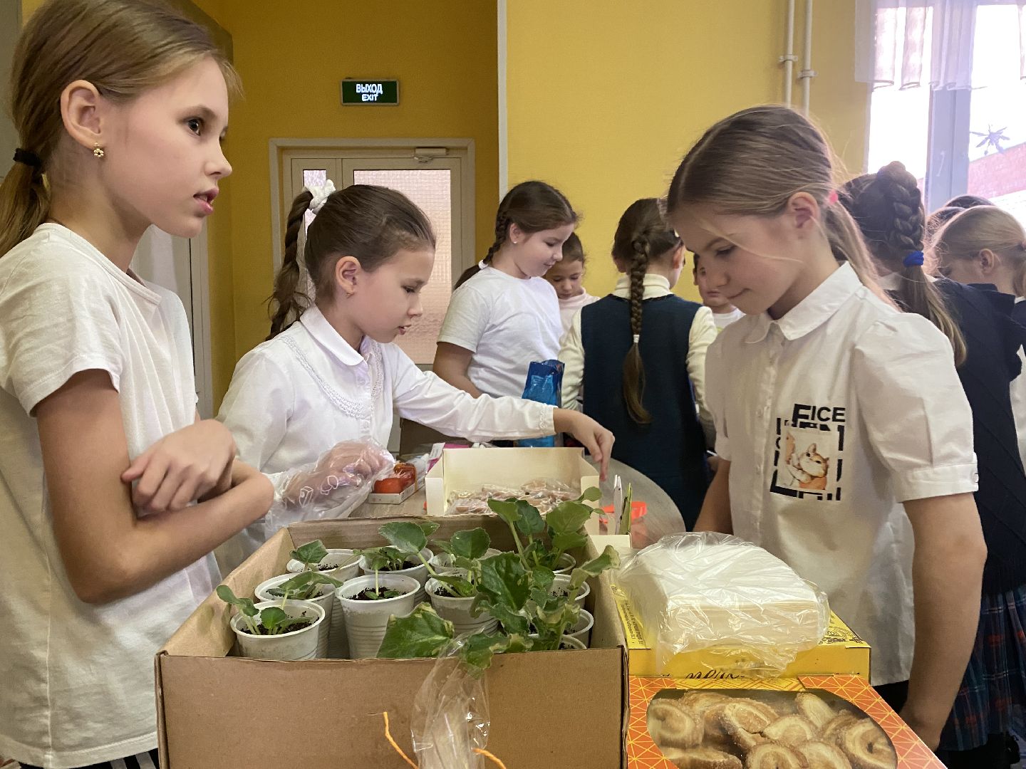 День волонтера, добро рф, доброволец, Домодедово, Подмосковье,