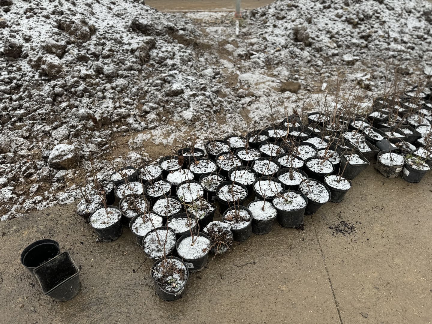 вертикалки, Благоустройство пруда, Тарычевский пруд, Девелоперская компания Брусника, Ревитализация малого тарычевского пруда, жк зеленые аллеи,