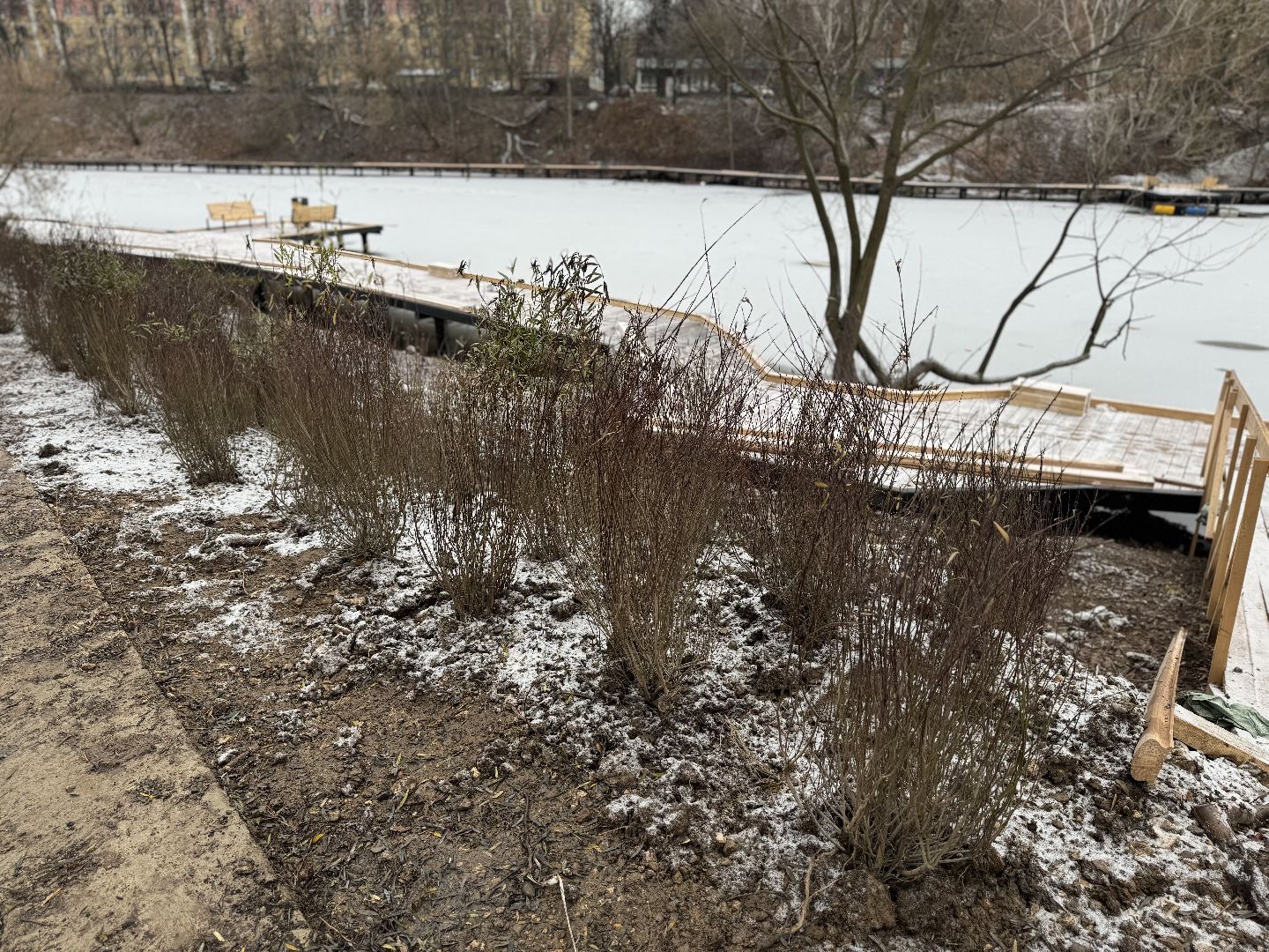 вертикалки, Благоустройство пруда, Тарычевский пруд, Девелоперская компания Брусника, Ревитализация малого тарычевского пруда, жк зеленые аллеи,