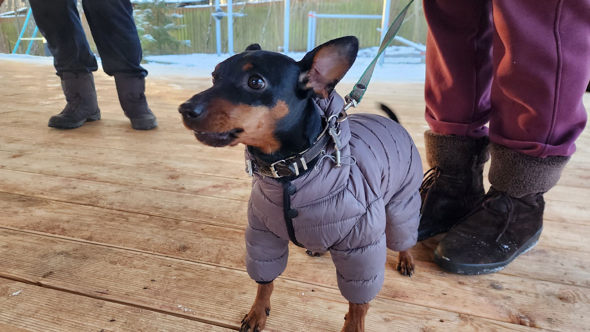 строительство, досуг, деревня, истра, вертикалки,