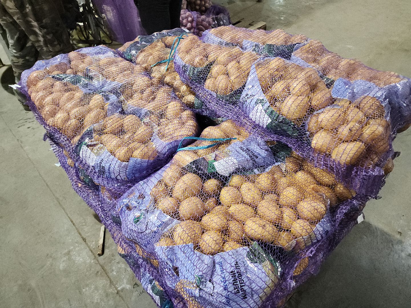 Егорьевск, Экономика, Подмосковье, овощехранилище, картофель, лесные дали, Московская область,