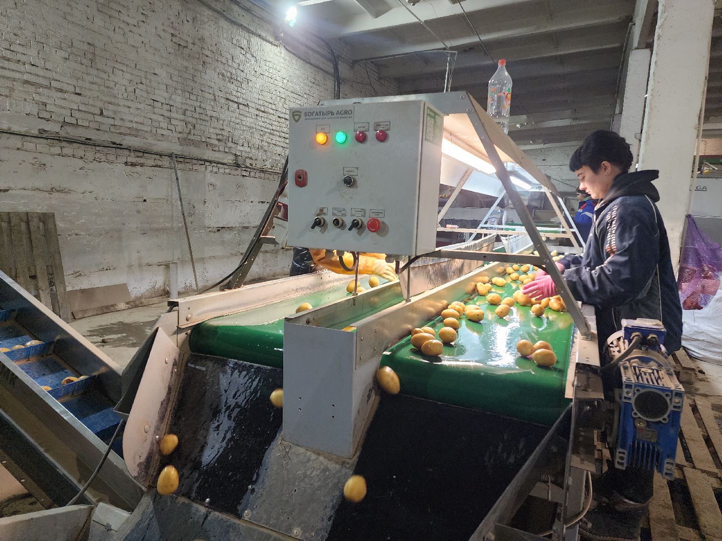 Егорьевск, Экономика, Подмосковье, овощехранилище, картофель, лесные дали, Московская область,