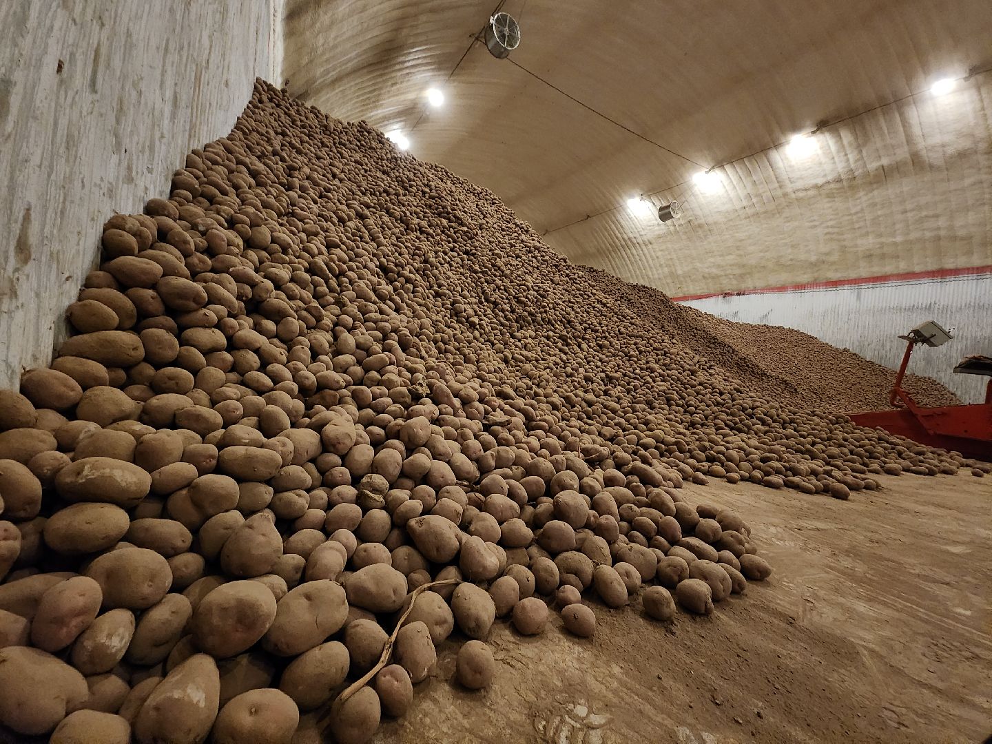 Егорьевск, Экономика, Подмосковье, овощехранилище, картофель, лесные дали, Московская область,