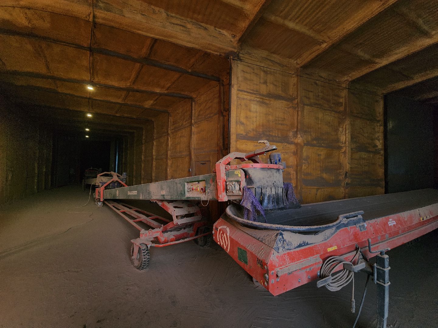 Егорьевск, Экономика, Подмосковье, овощехранилище, картофель, лесные дали, Московская область,