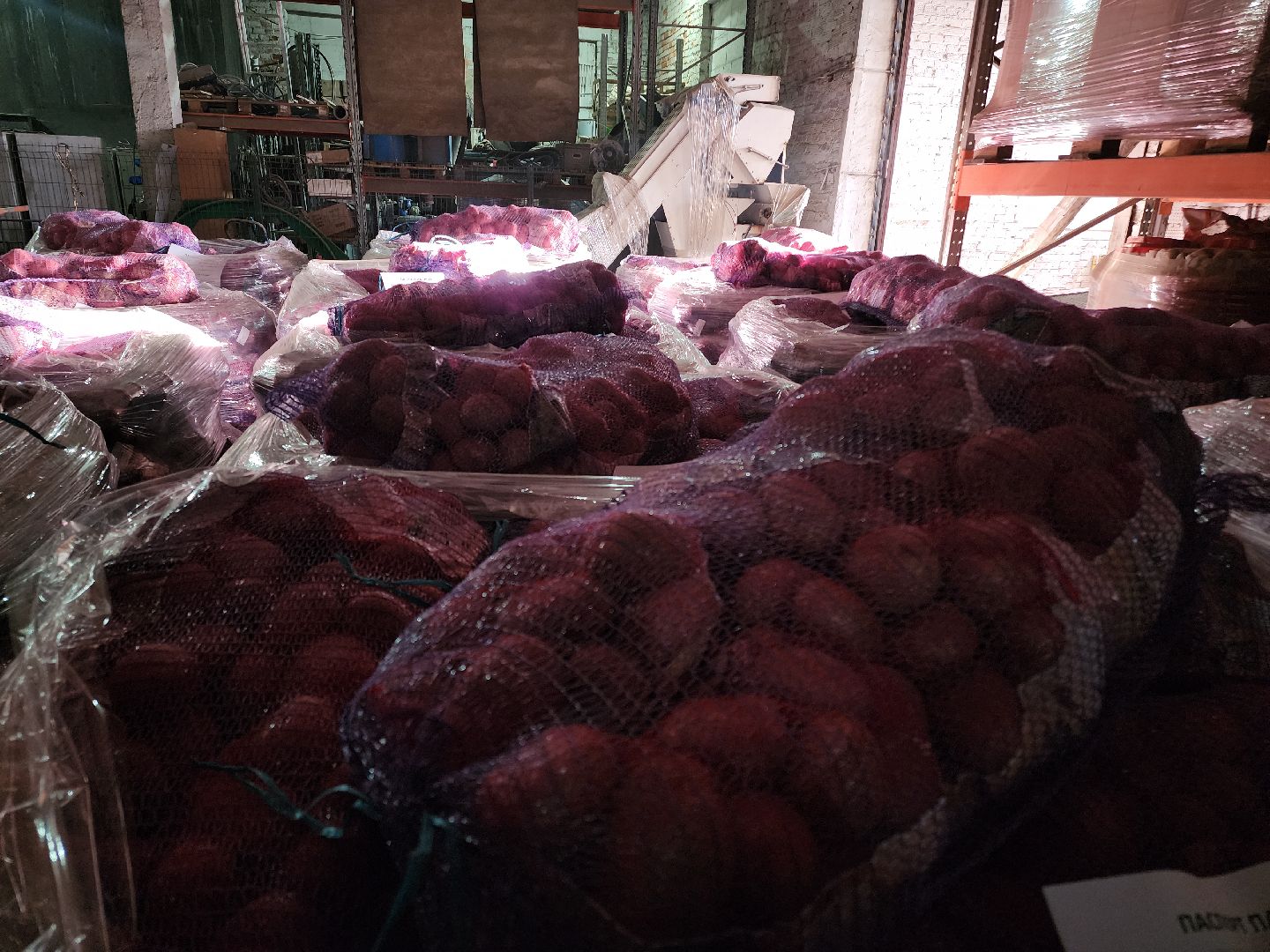 Егорьевск, Экономика, Подмосковье, овощехранилище, картофель, лесные дали, Московская область,