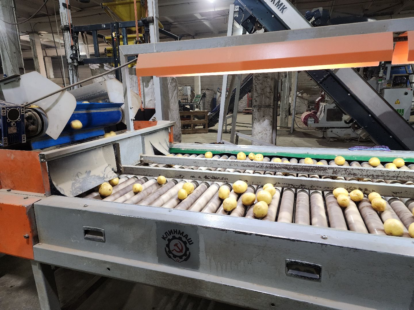 Егорьевск, Экономика, Подмосковье, овощехранилище, картофель, лесные дали, Московская область,