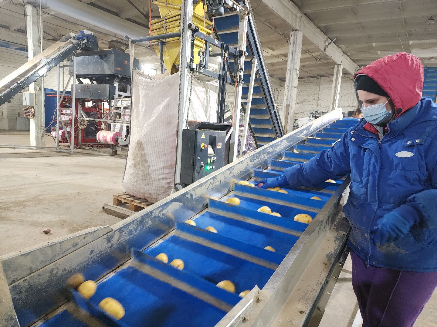 Егорьевск, Экономика, Подмосковье, овощехранилище, картофель, лесные дали, Московская область,