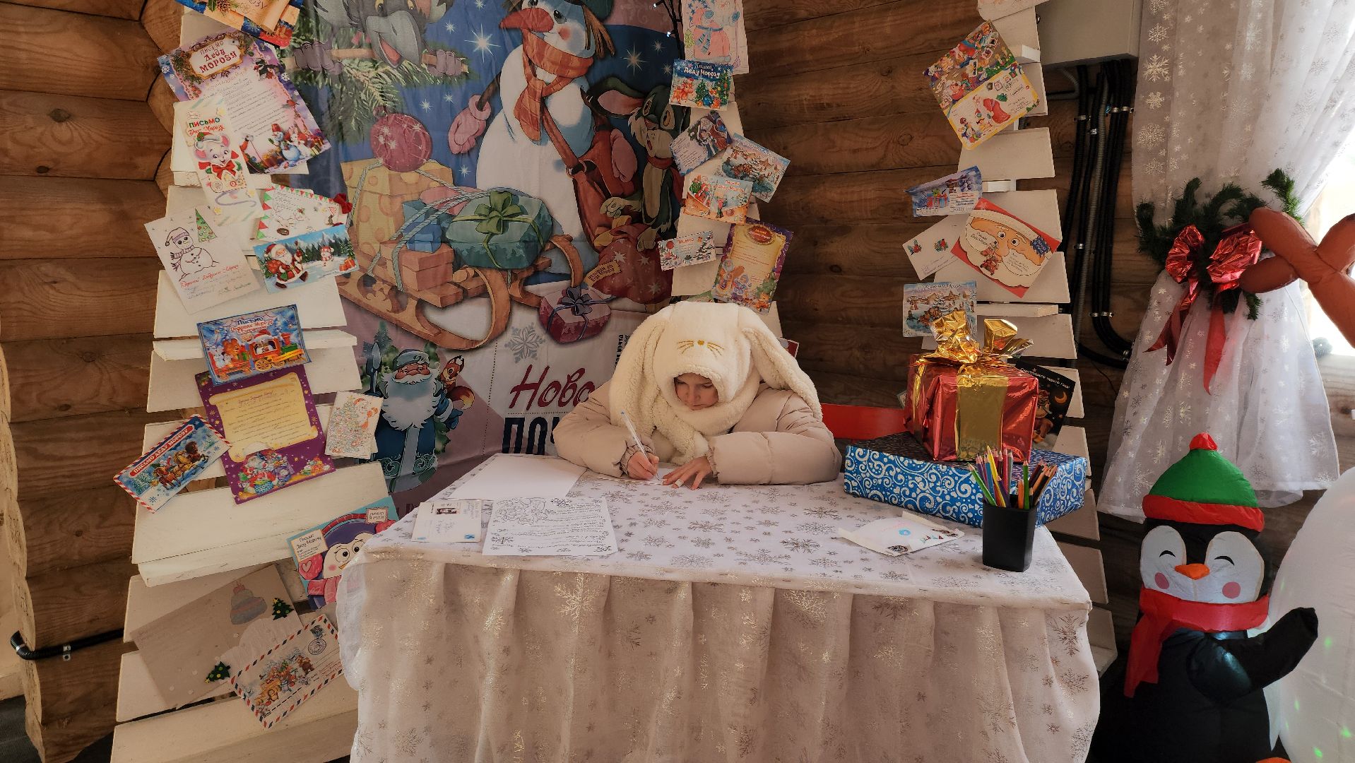 Руза, резиденция деда мороза, почта деда мороза, зима в подмосковье, рузский городской округ, зима в рузе, новый год, вертикалки,