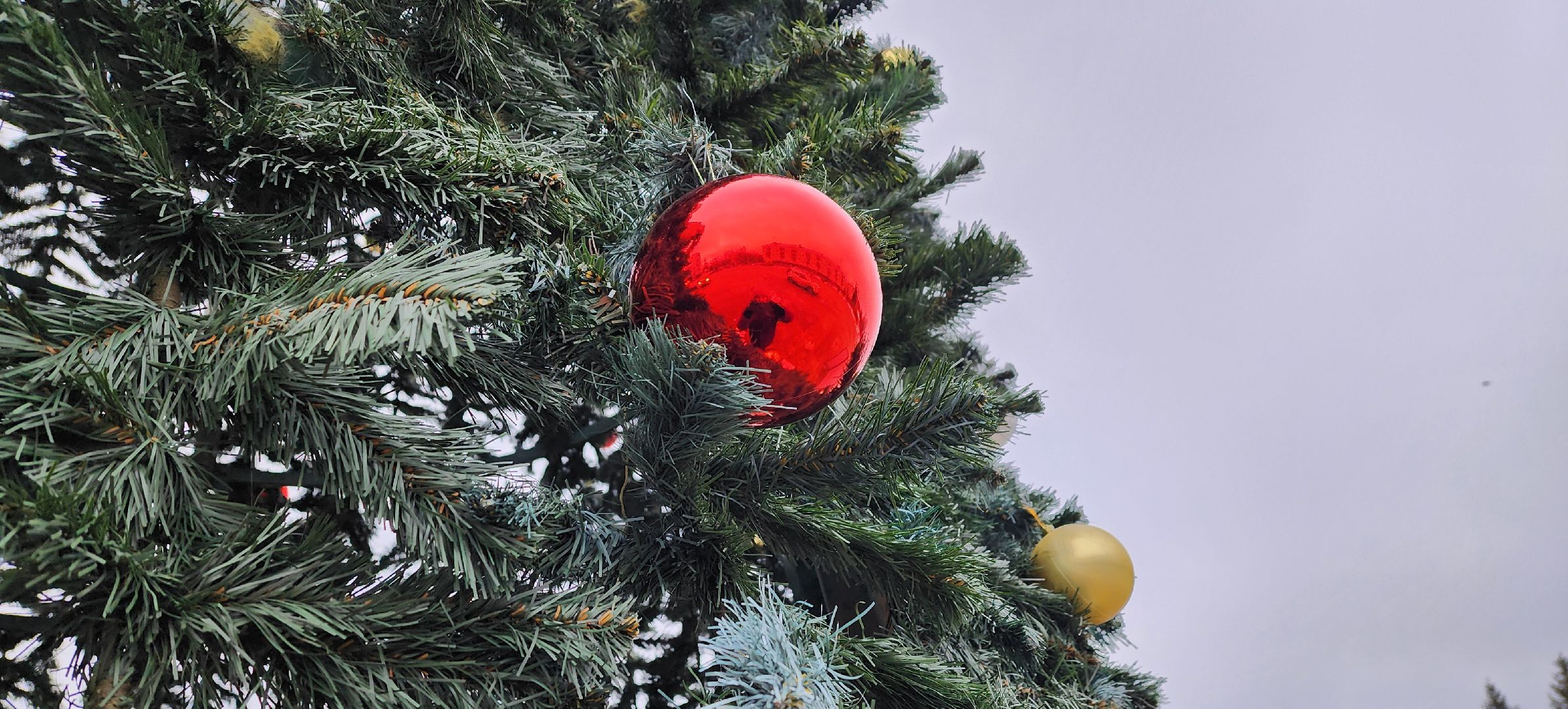 Солнечногорск, вертикалки, новый год, советская площадь, монтаж елки,