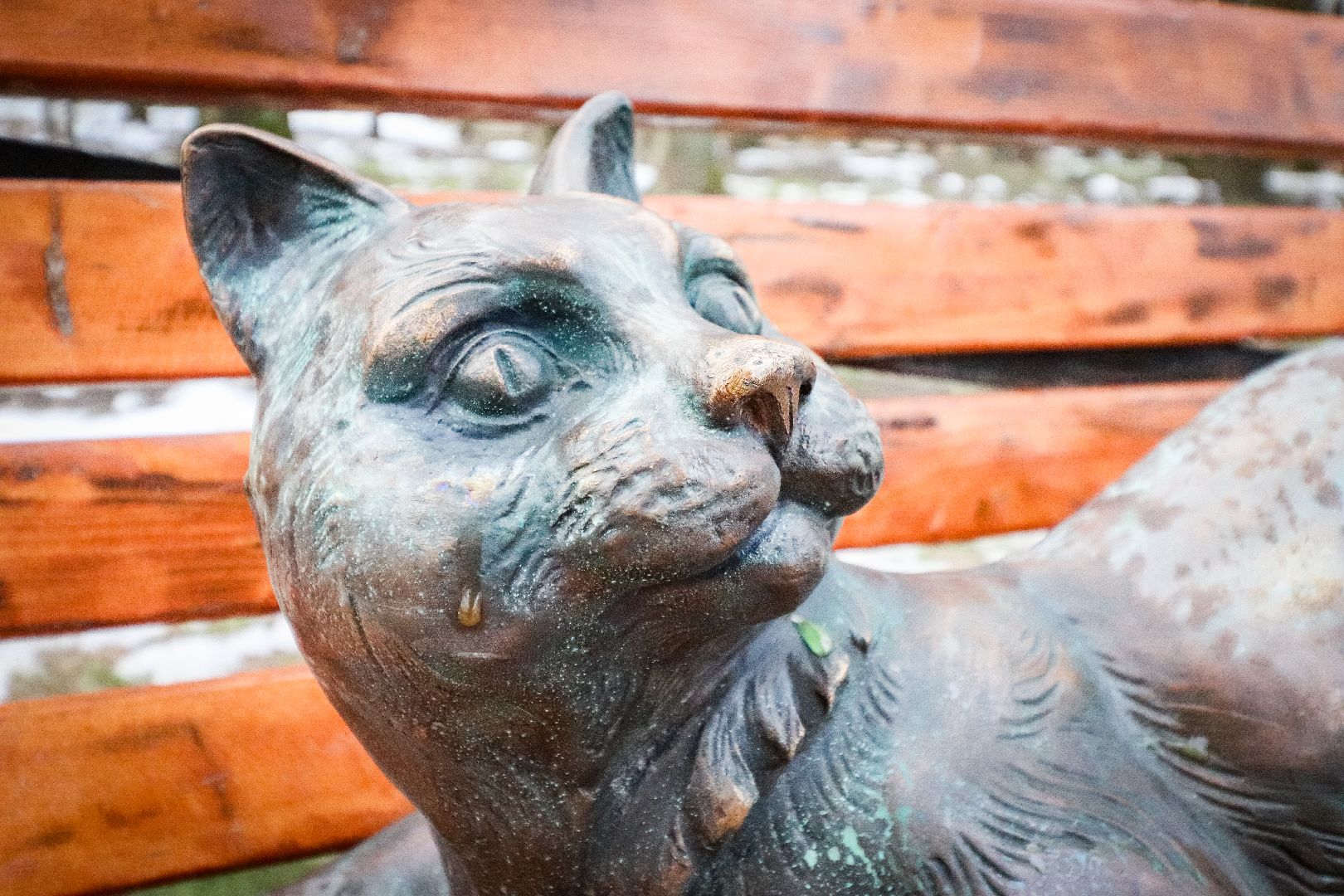 Клин, общество, благоустройство, достопримечательность, вертикалки,