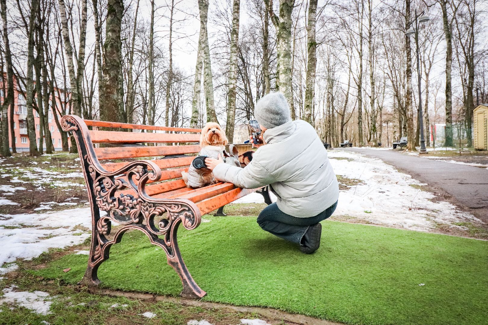 Клин, общество, благоустройство, достопримечательность, вертикалки,
