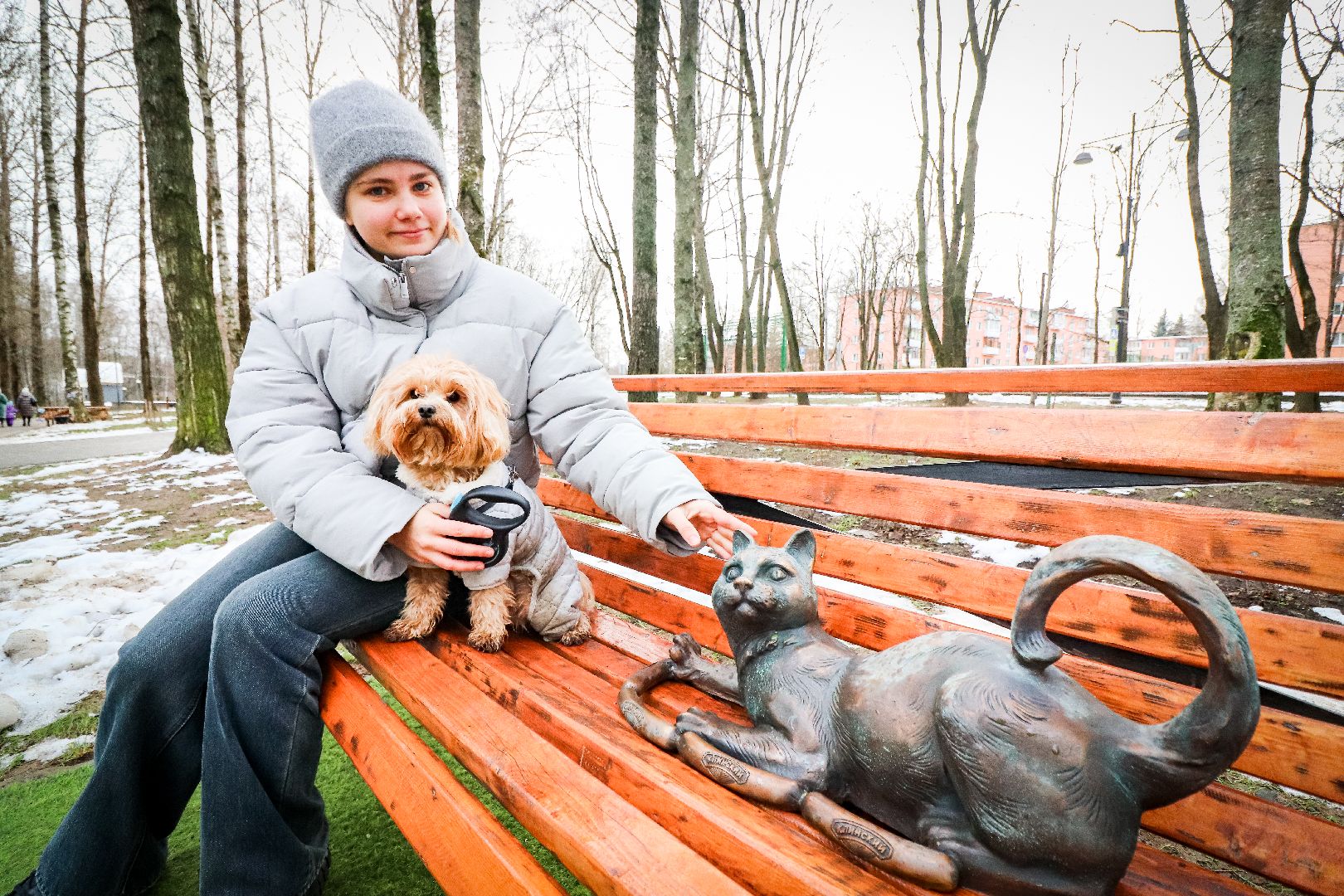 Клин, общество, благоустройство, достопримечательность, вертикалки,