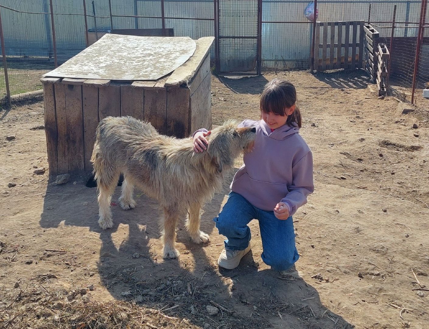 волонтеры, школьники, Воскресенск