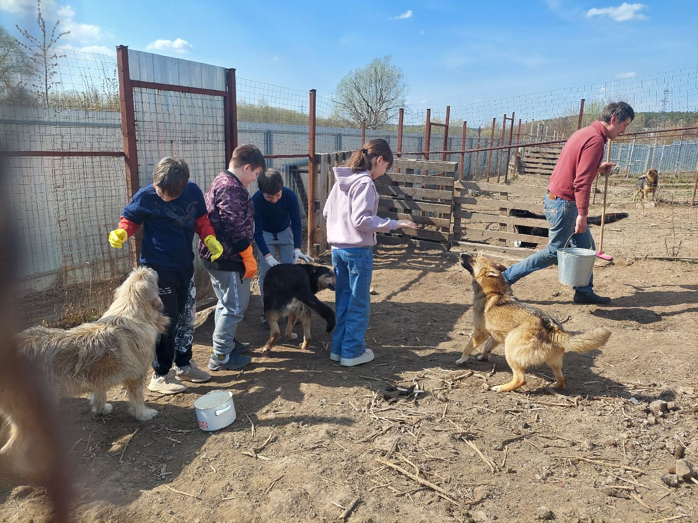 волонтеры, школьники, Воскресенск