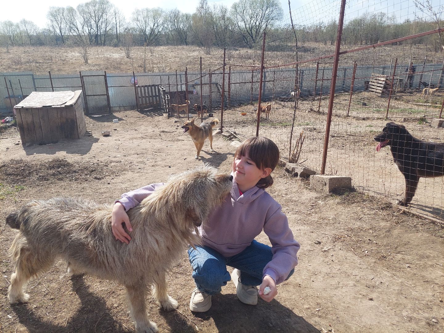 волонтеры, школьники, Воскресенск