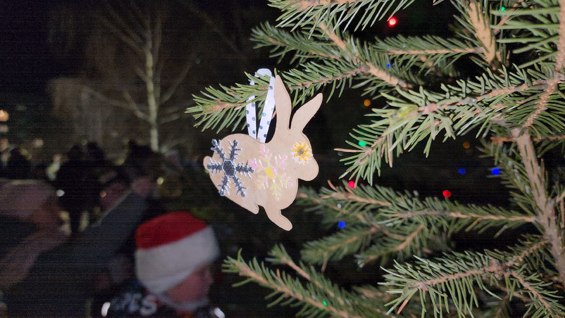 Руза, зима в подмосковье, зима в рузе, колюбакино, Наряди елку, московская область, Подмосковье,