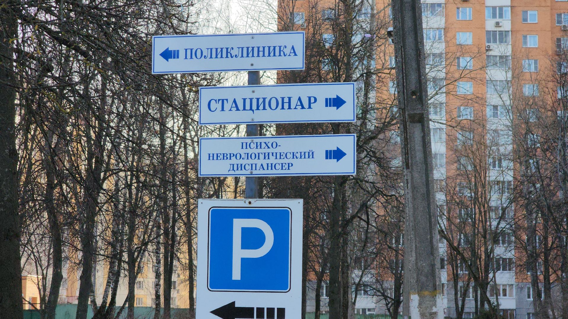 подольск, подмосковный врач, покб, семья,