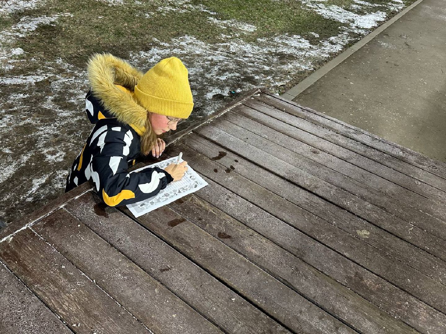 новый год, письмо деду морозу, парки домодедово,