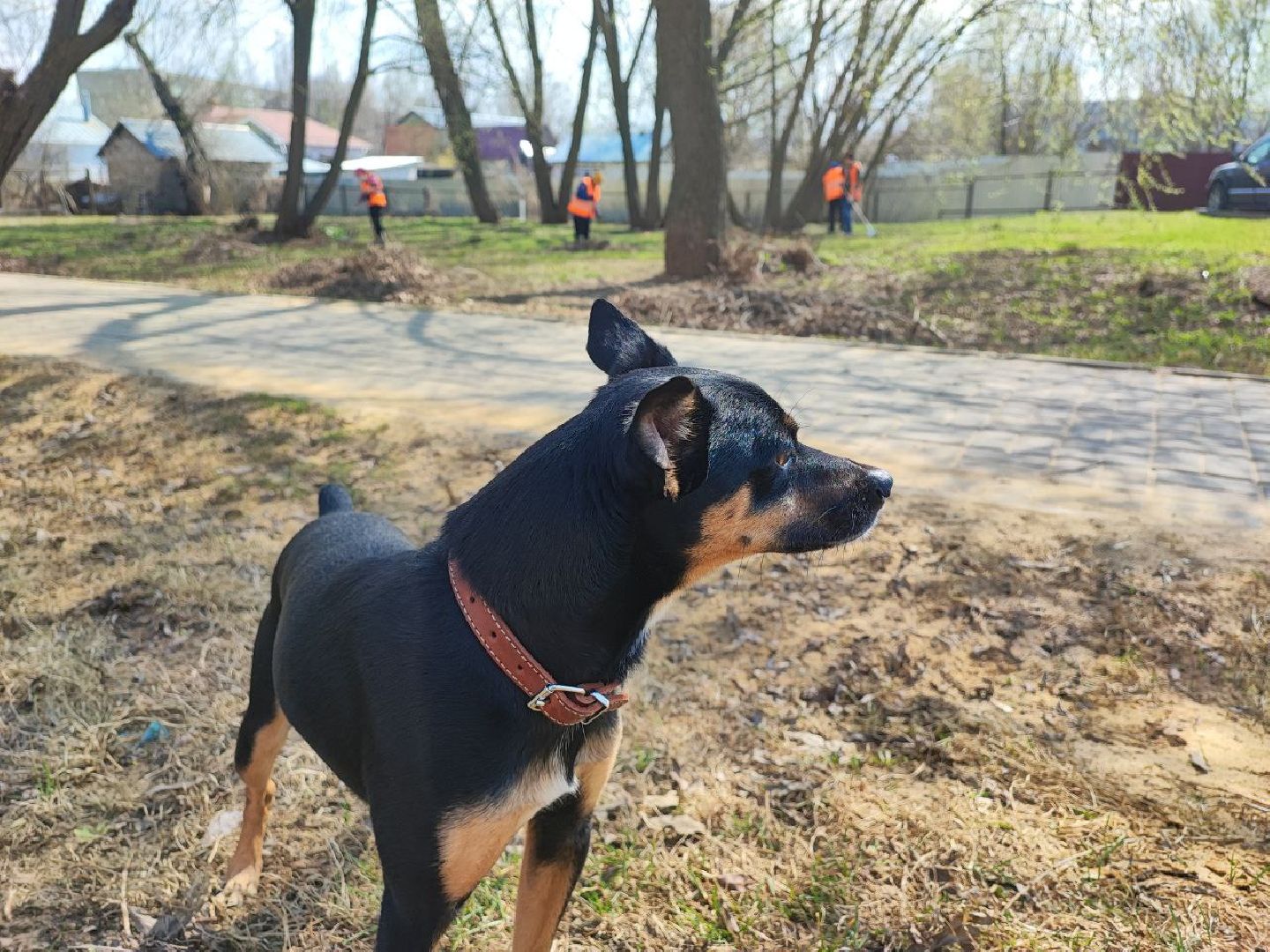благоустройство, Серебряные Пруды