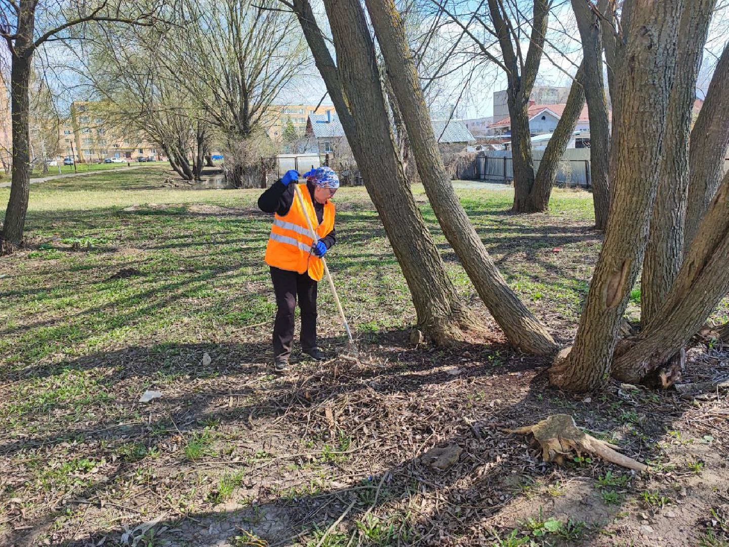 благоустройство, Серебряные Пруды