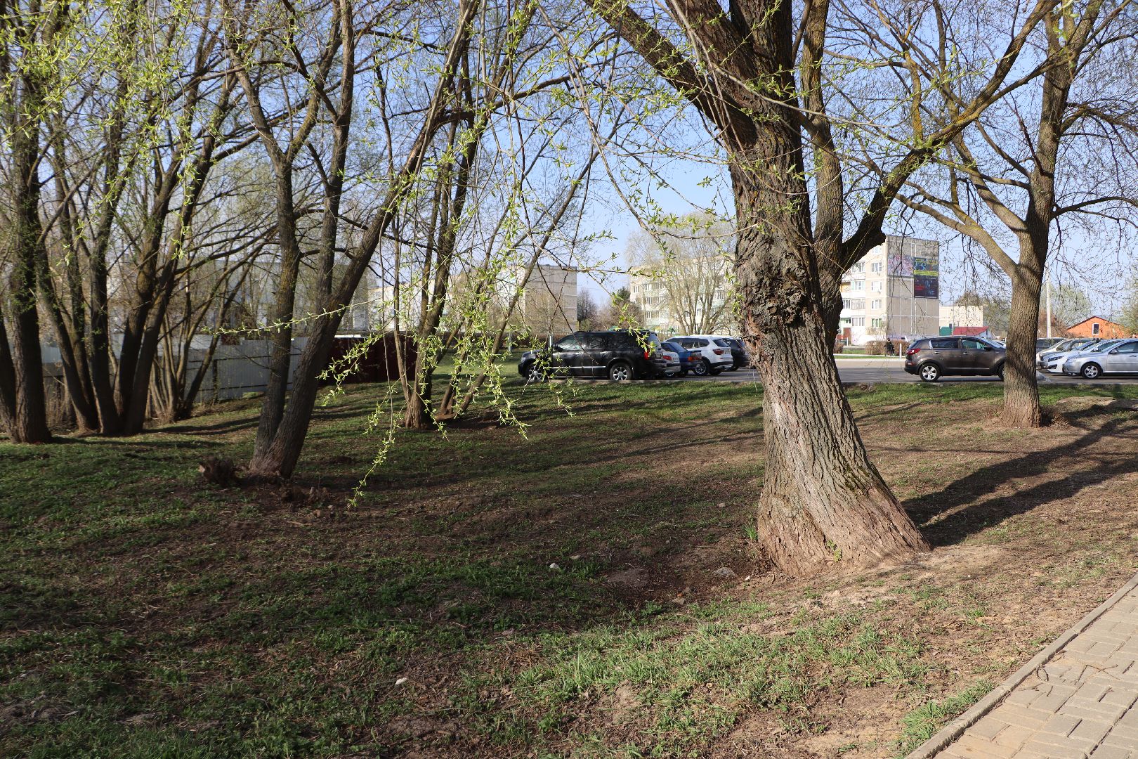 благоустройство, Серебряные Пруды