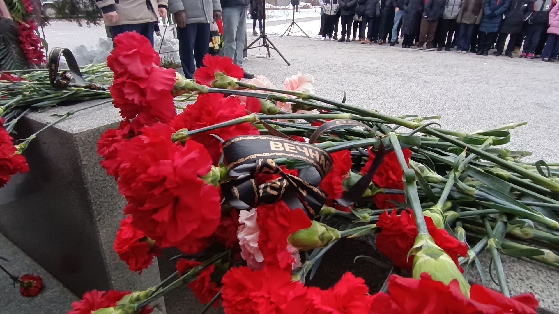 вахта памяти, лобня, битва за москву, вертикалки,