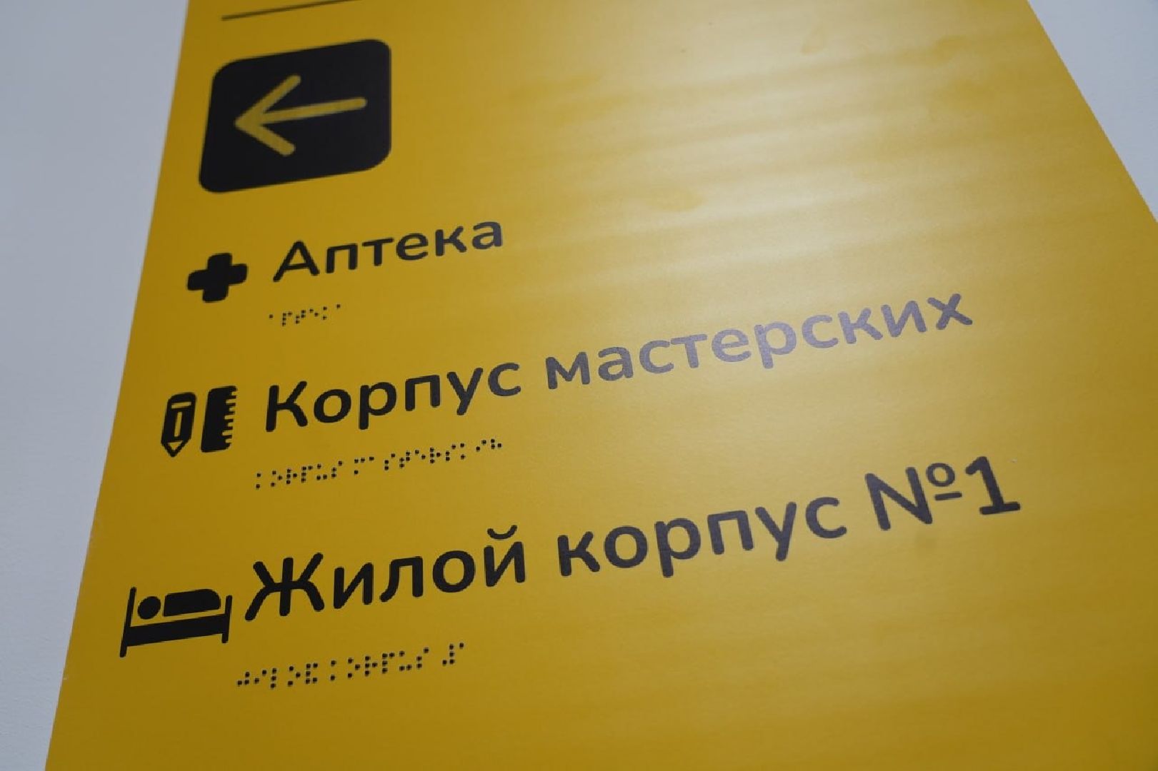 Волонтеры, Реабилитация, ОВЗ, Медицина, Социализация, Центр постинтернатного сопровождения молодых слепоглухих инвалидов, Сергиев Посад,