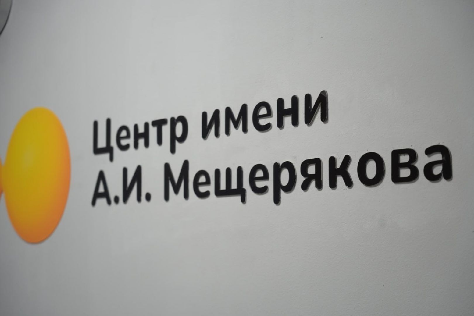 Волонтеры, Реабилитация, ОВЗ, Медицина, Социализация, Центр постинтернатного сопровождения молодых слепоглухих инвалидов, Сергиев Посад,