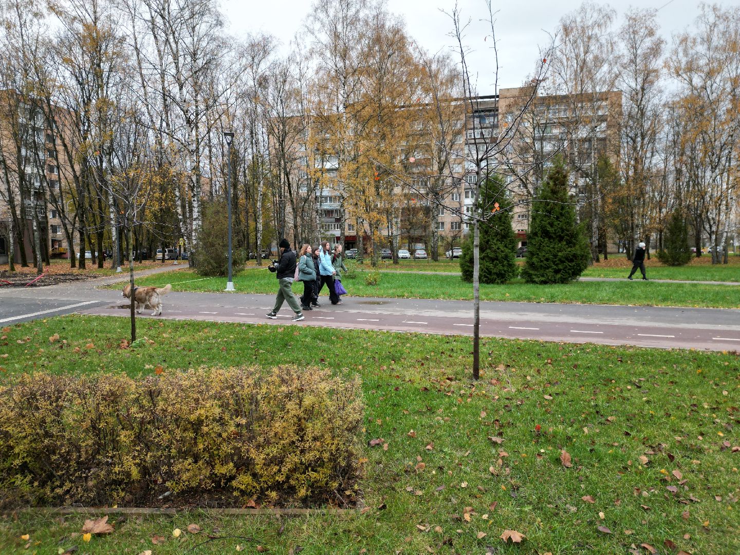 видео с коптера, черноголовка, благоустройство,
