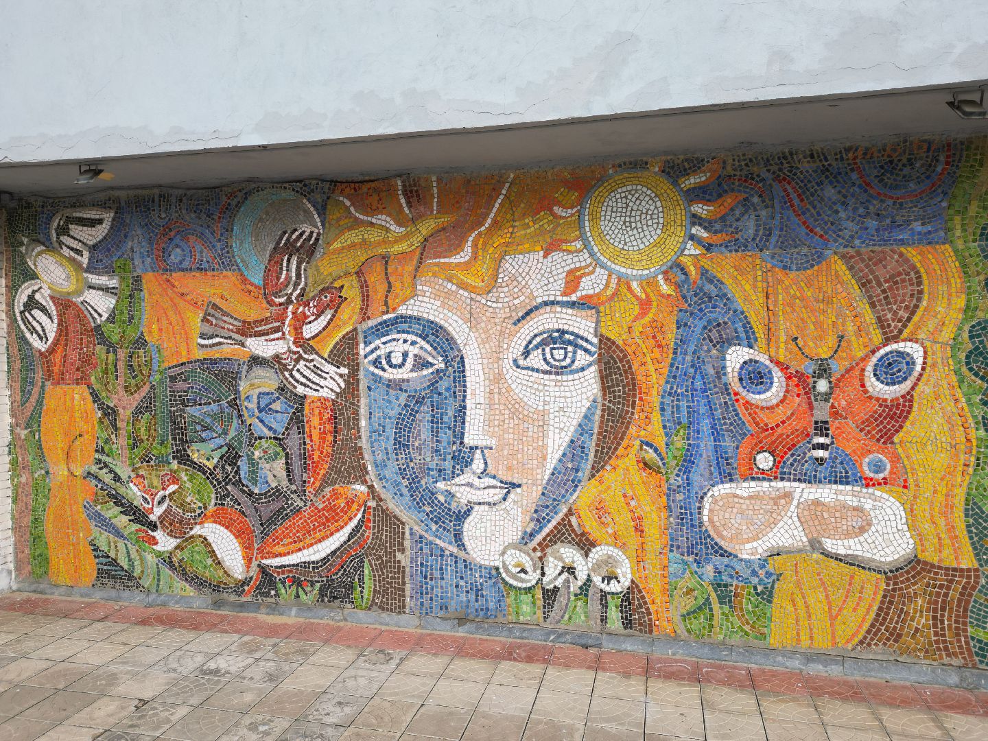 видео с коптера, черноголовка, благоустройство,