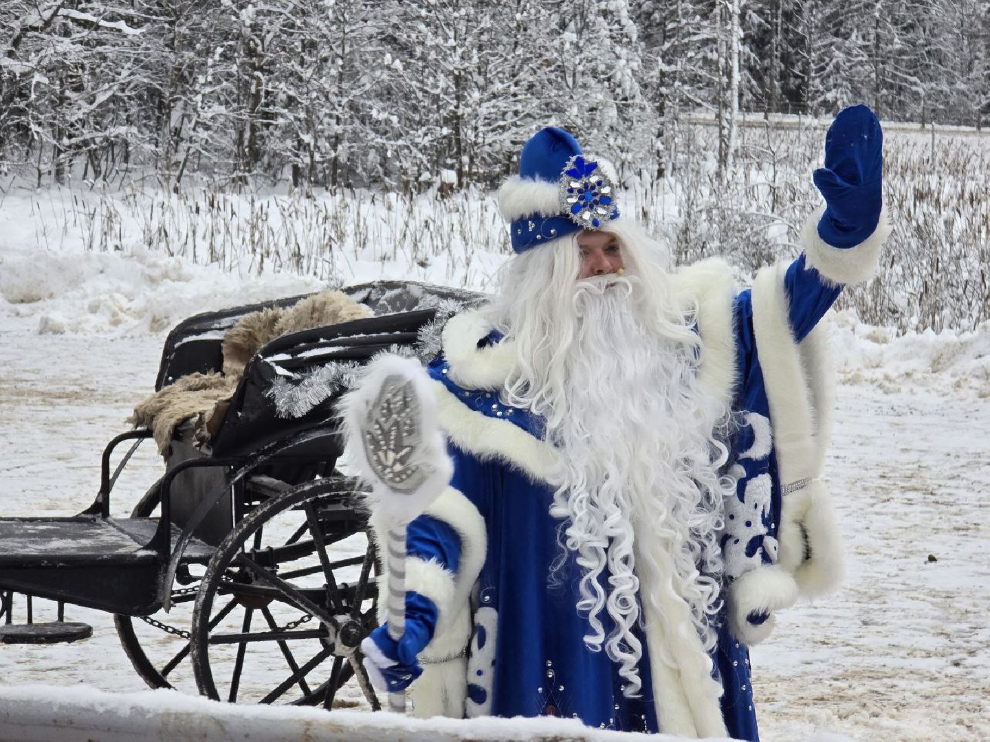 можайск, можайский городской округ, подмосковье, кремлевская ель, главное дерево страны, праздник, соборная площадь, новый год, новогодние праздники, вертикалки,