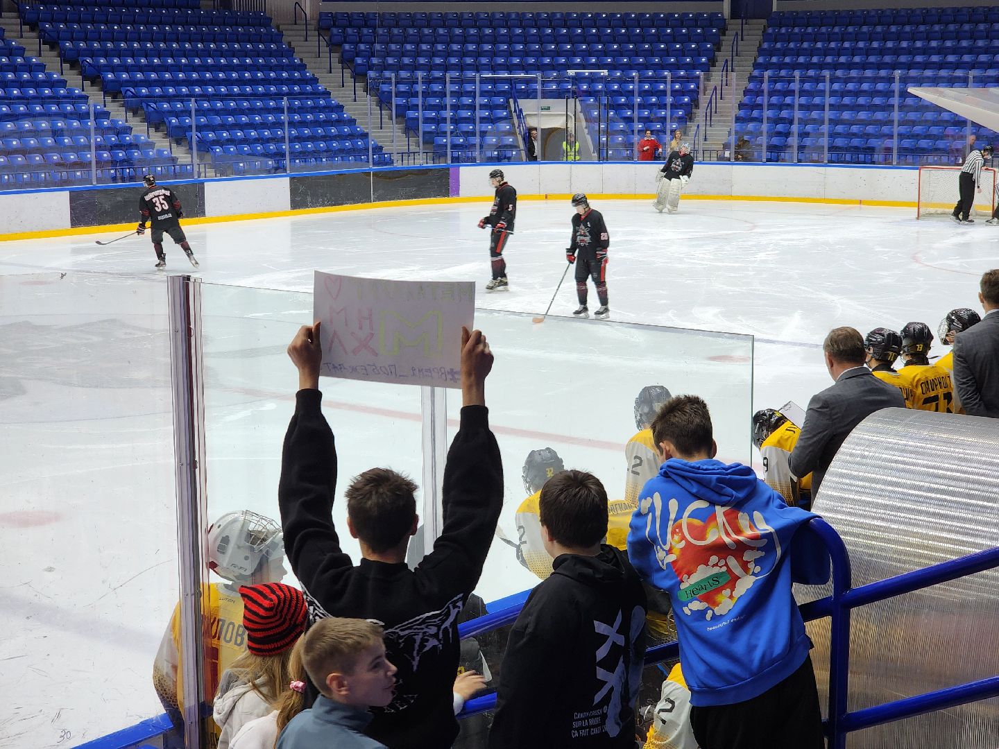 подольск, спорт, хоккей, витязь,