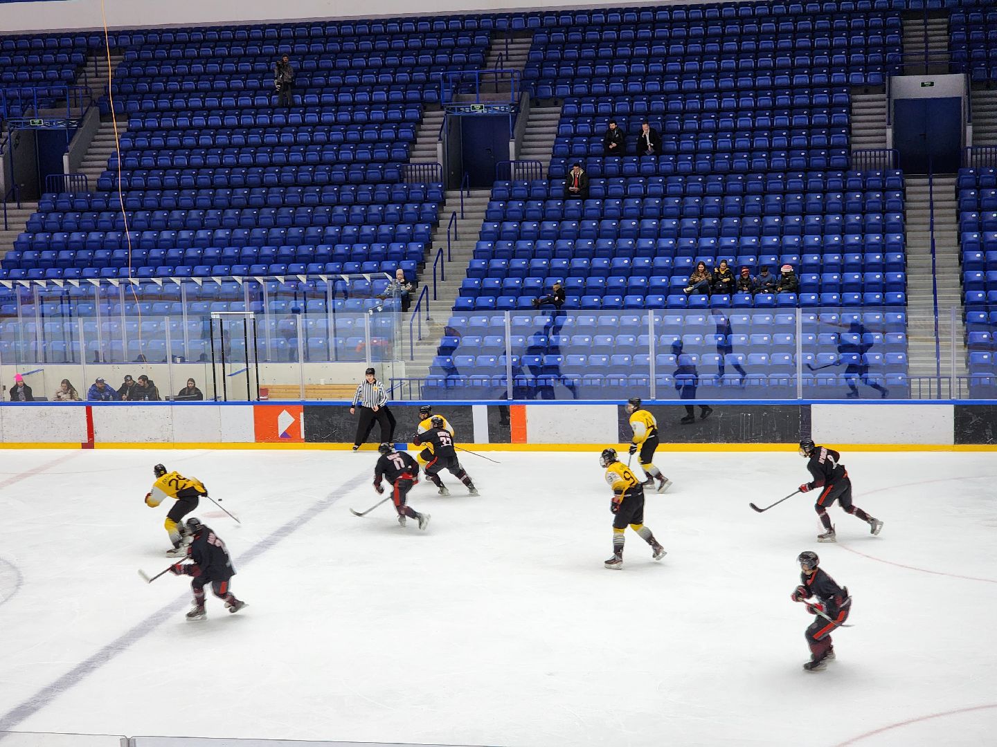 подольск, спорт, хоккей, витязь,