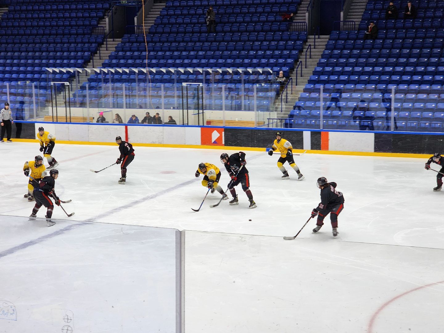 подольск, спорт, хоккей, витязь,