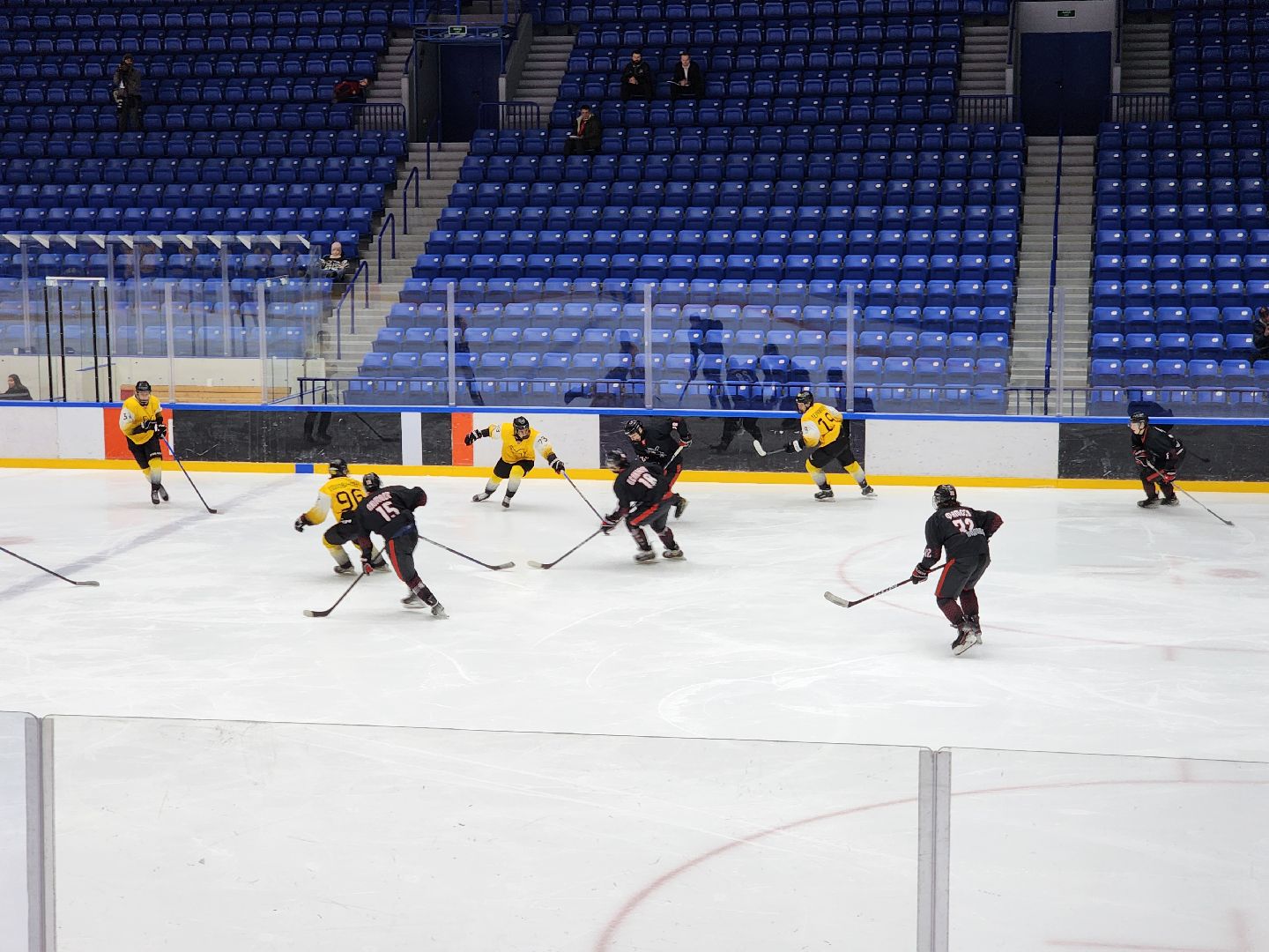 подольск, спорт, хоккей, витязь,