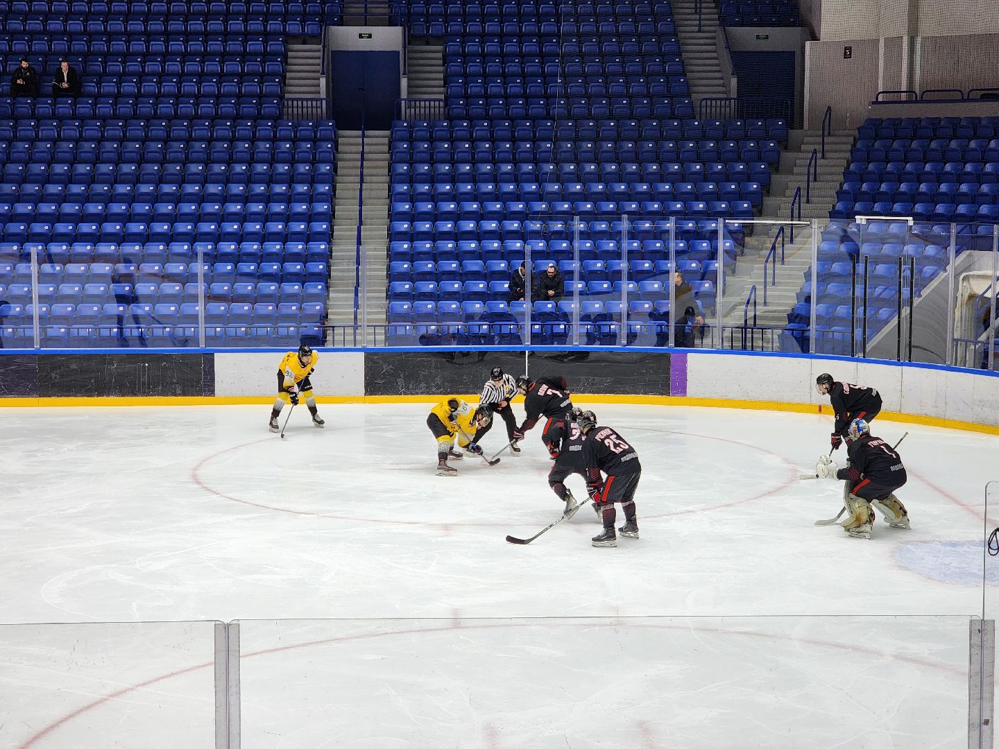 подольск, спорт, хоккей, витязь,