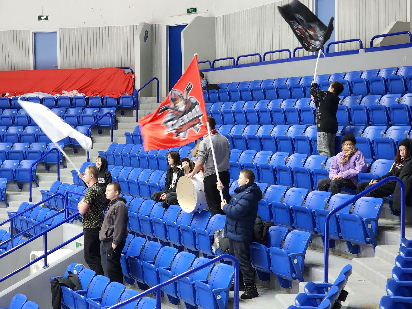 подольск, спорт, хоккей, витязь,